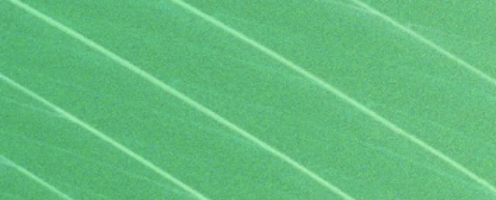 Arval BNP Paribas Group Hero Image