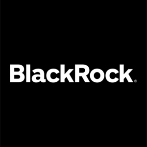 BlackRock Investments Logo