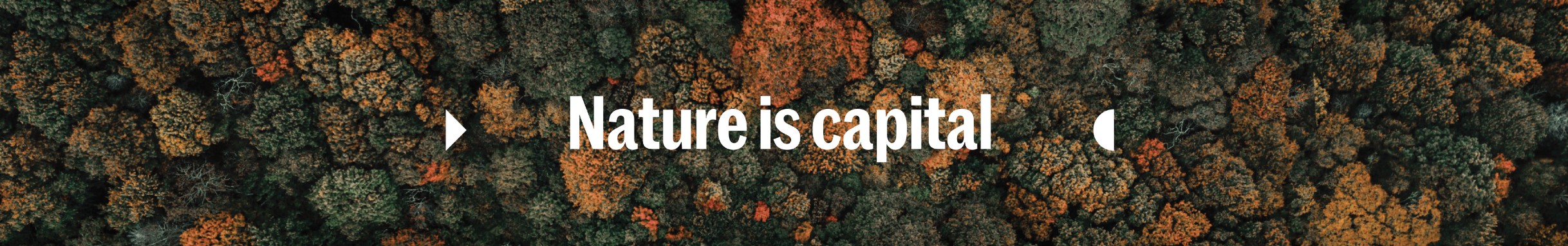 Asset Manager (Carbon), Nature Based Carbon Strategy (m|f|x) Hero Image