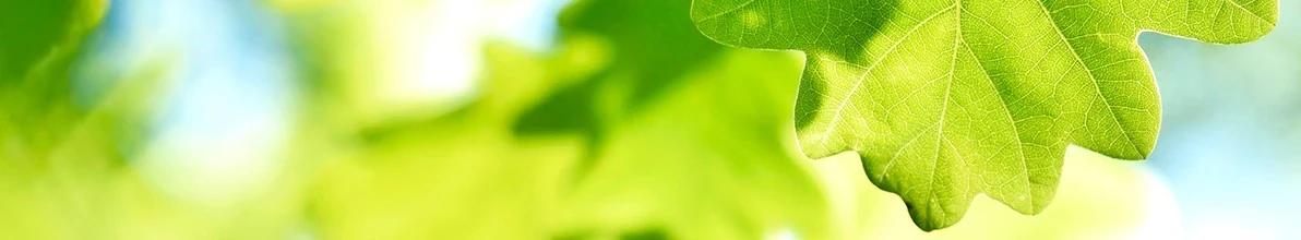 Assistant Vice President, Treasury (m|f|x) Hero Image