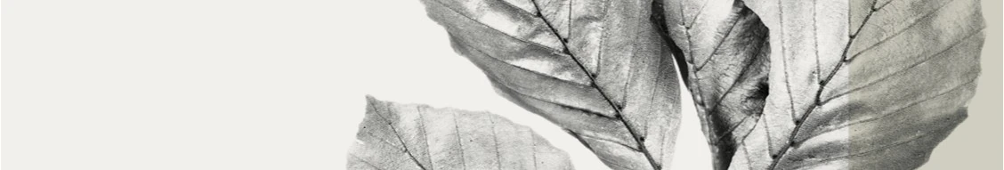 Business Analyst - Credits (m|f|x) Hero Image