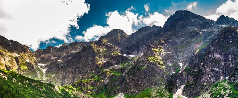 Buy & Build-CEO im Portfoliounternehmen (m|f|x) Hero Image