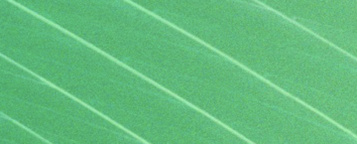 Client Relationship Manager (m|f|x) Hero Image