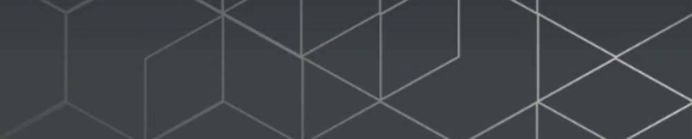 Independent Portfolio Manager (m|f|x) Hero Image