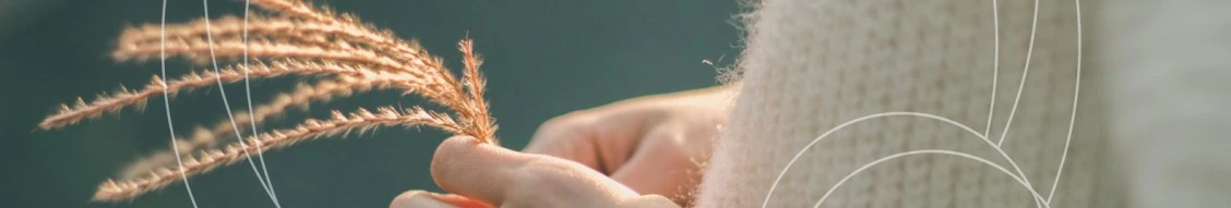 Junior Client Advisor (m|f|x) Hero Image