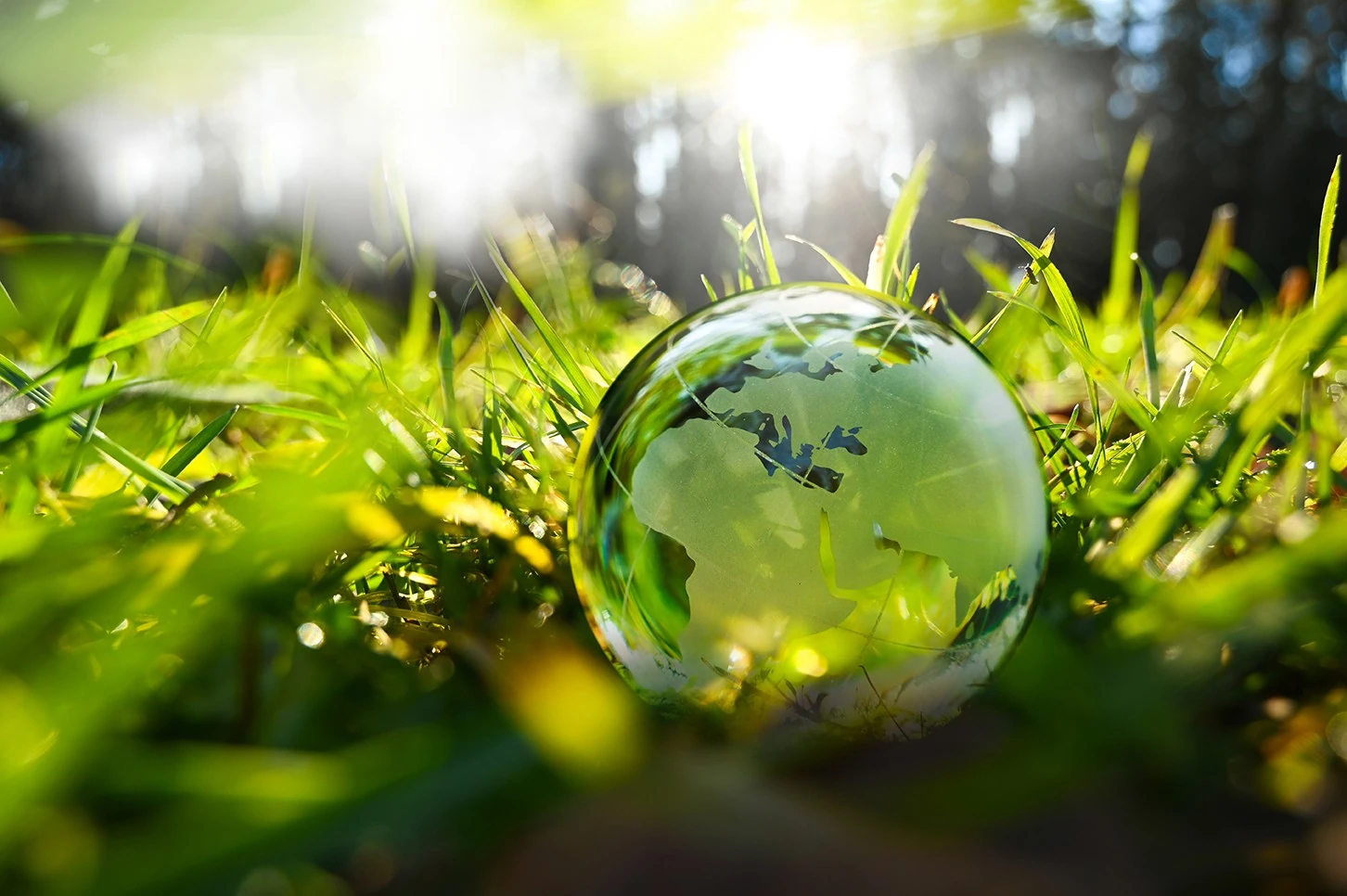 Portfolio Analyst - Specialist for Retail lending and Lending policies (m|f|x) Hero Image