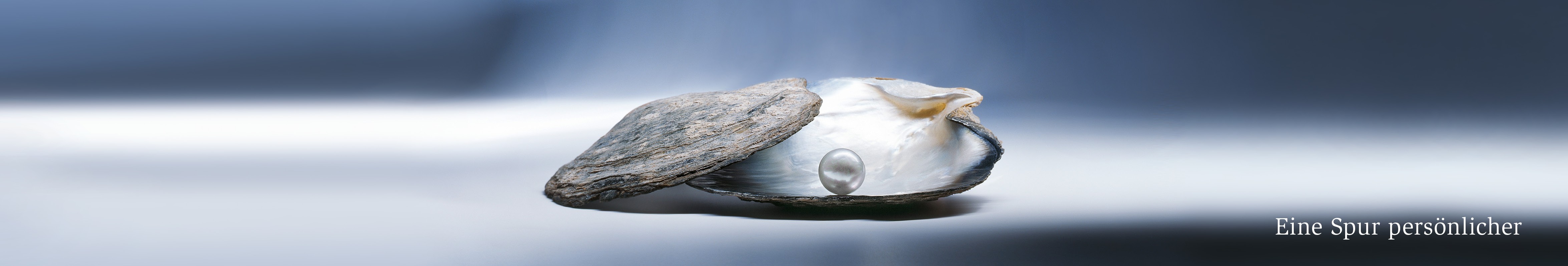 Portfoliomanager (m|f|x) Hero Image