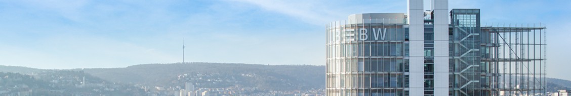 Risikomanager Akquisitionsfinanzierungen / LBO / Leveraged Finance / Corporate Finance (m|f|x) Hero Image