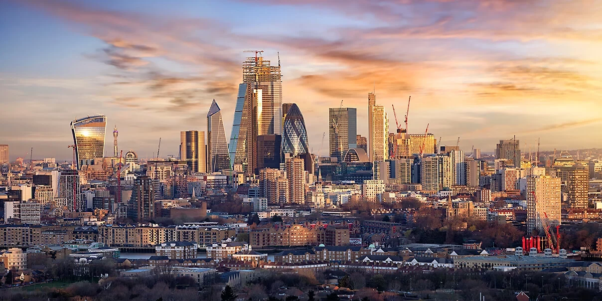 Shareholder Reporting Senior Analyst (m|f|x) Hero Image